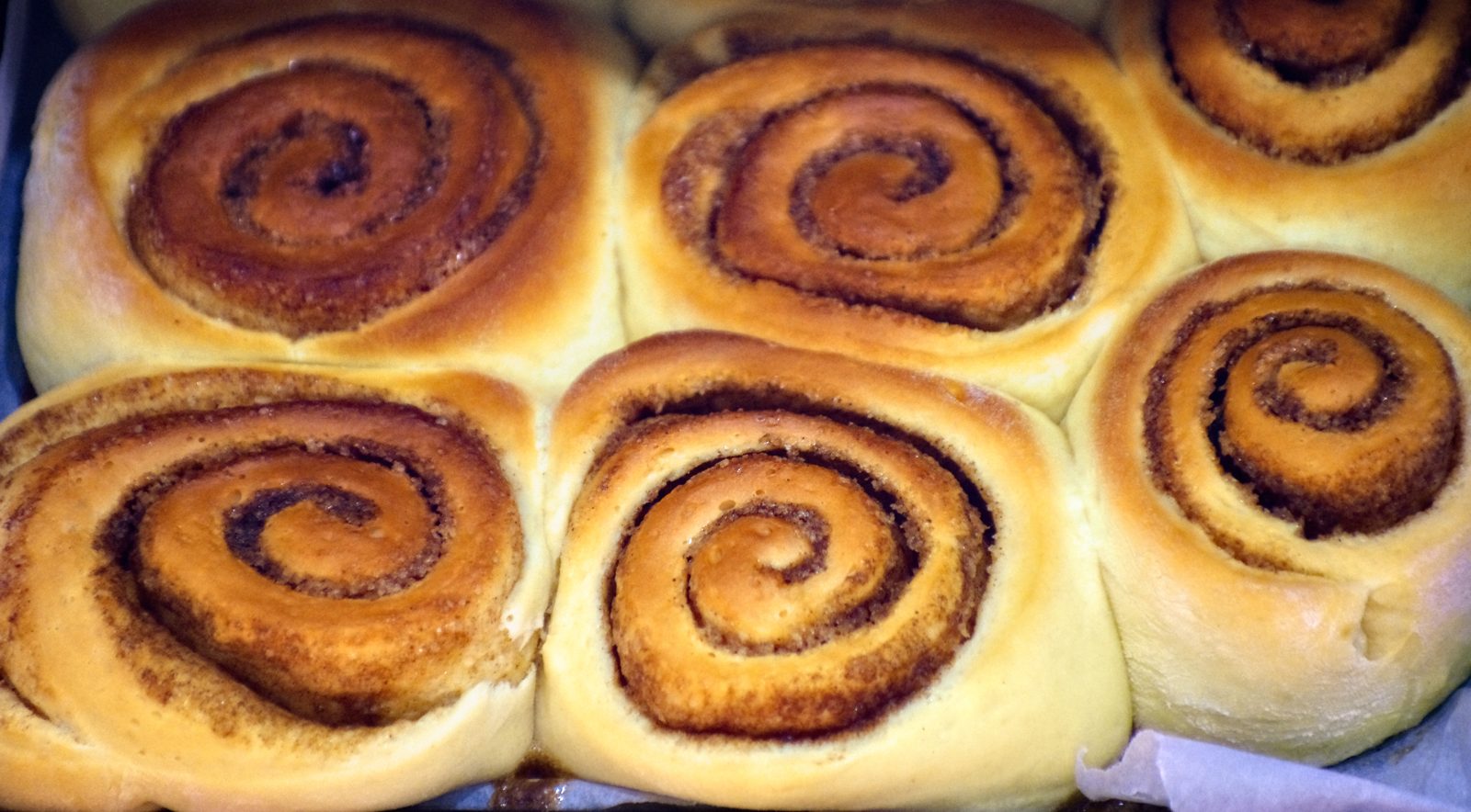 Pan of cinnamon rolls fresh from the oven